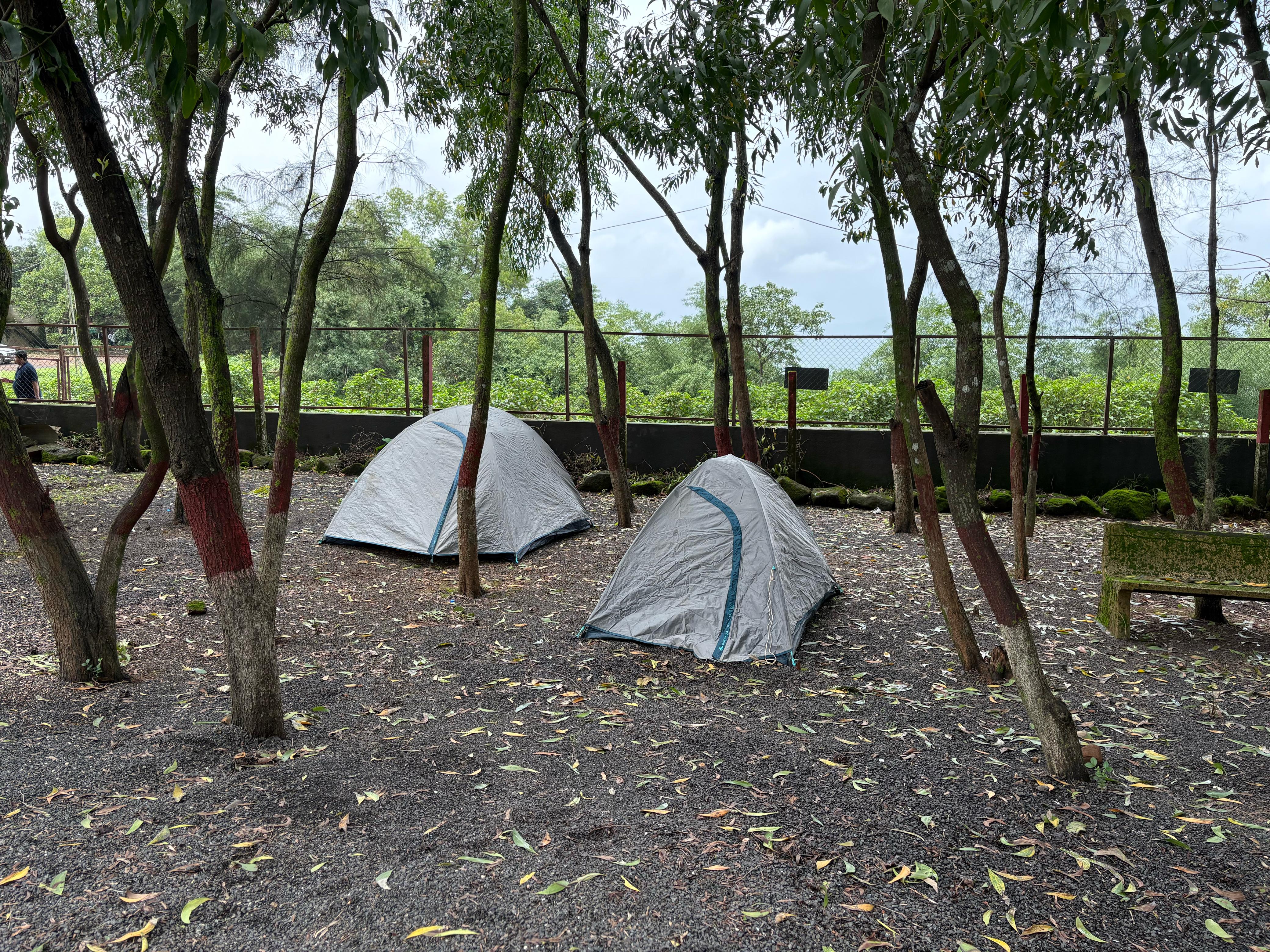 Trip Image 3